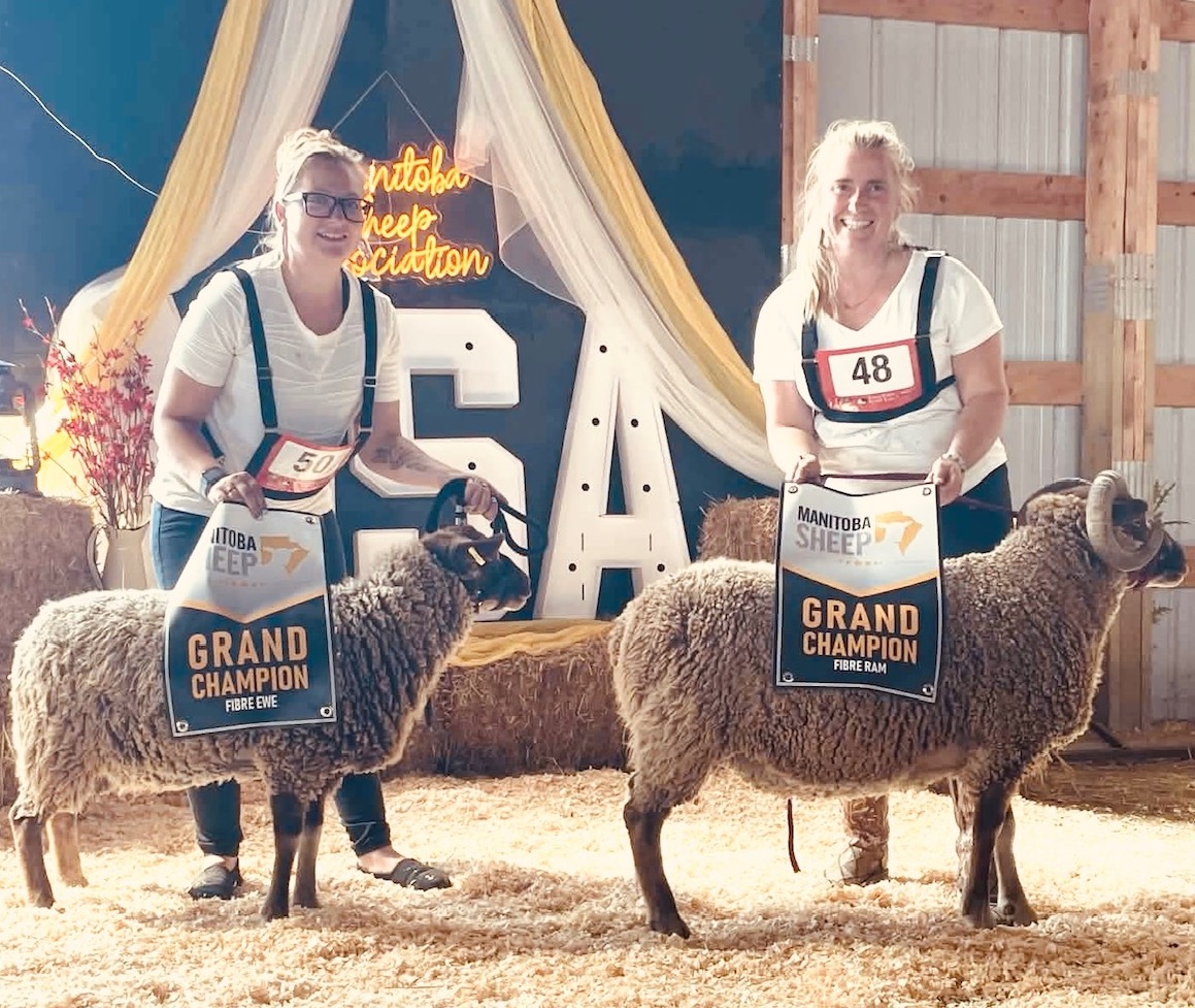 Manitoba Sheep Association Show and Sale – August 2026